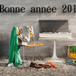 Bonne année 2013